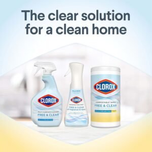 Clorox Compostable Wipes