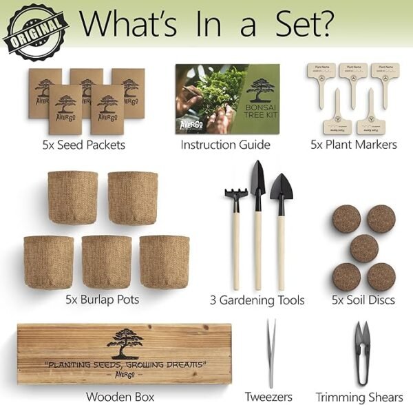 Bonsai Tree Kit – 5X Unique Japanese Bonzai Trees | Complete Indoor Bonsai Starter Kit for Growing Bonsai Plants with Tools & Planters – Gardening Gifts for Women & Men - Image 4
