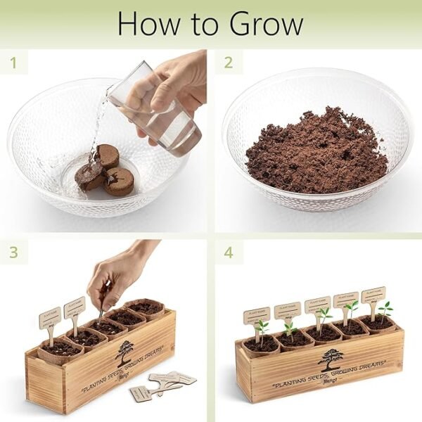 Bonsai Tree Kit – 5X Unique Japanese Bonzai Trees | Complete Indoor Bonsai Starter Kit for Growing Bonsai Plants with Tools & Planters – Gardening Gifts for Women & Men - Image 3