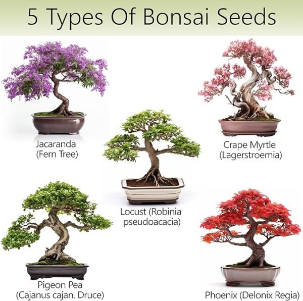 Bonsai Tree Kit – 5X Unique Japanese Bonzai Trees | Complete Indoor Bonsai Starter Kit for Growing Bonsai Plants with Tools & Planters – Gardening Gifts for Women & Men - Image 2