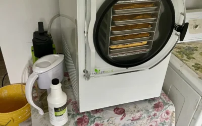 Freeze-Dried Food Storage Solutions, DIY Food Growing Kits